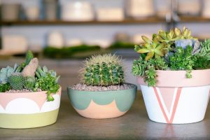 Customize Planter