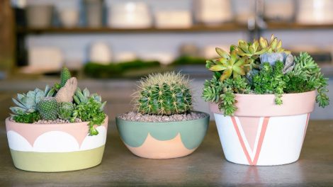 Customize Planter
