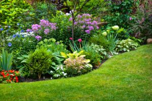 Learn 11 Things To remember For Gardening In October