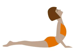 Bhujangasana