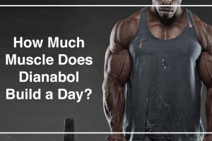 How much muscle does Dianabol build a day?