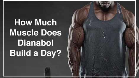 How much muscle does Dianabol build a day?