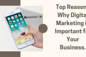Top Reasons Why Digital Marketing is Important for Your Business.