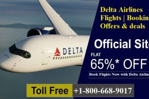 Delta Airlines