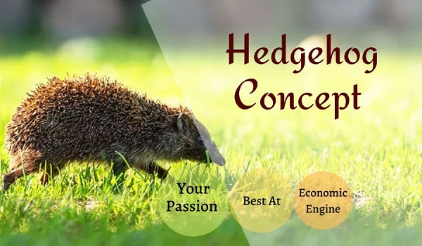 hedgehog-in-strategy