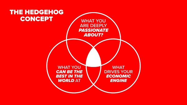 the-concept-of-hedgehog-in-strategy