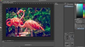 tips-for-using-photoshop 