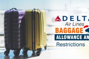 Delta Airlines