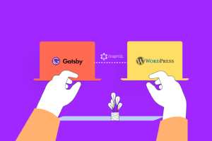 headless-wordpress-themes