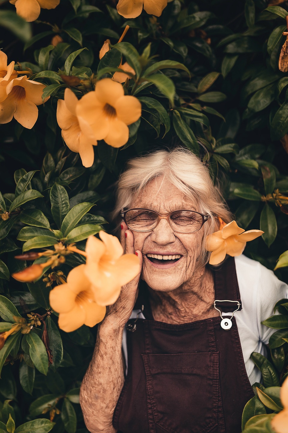 flowers blooming