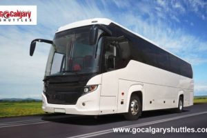 wedding transportation