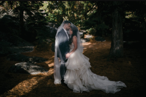 Renewing Wedding Vows Dresses