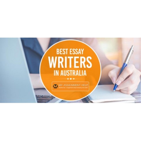 essay writer