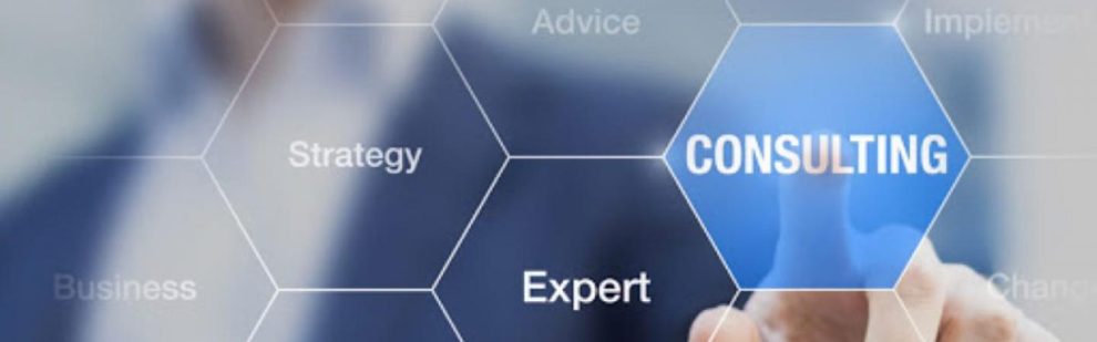 IT consulting Indian