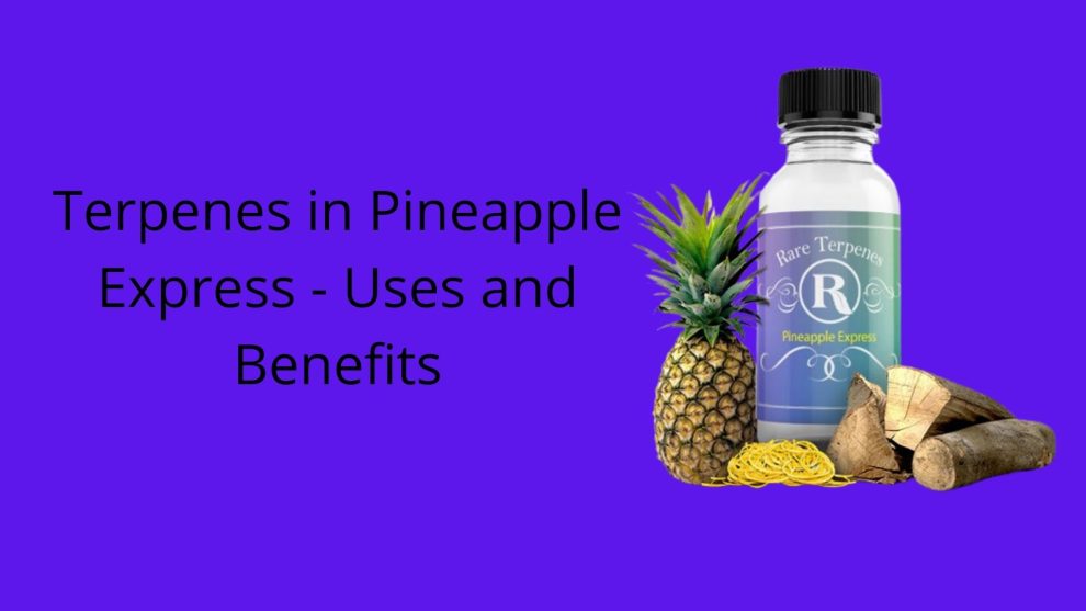 pineapple express terpenes