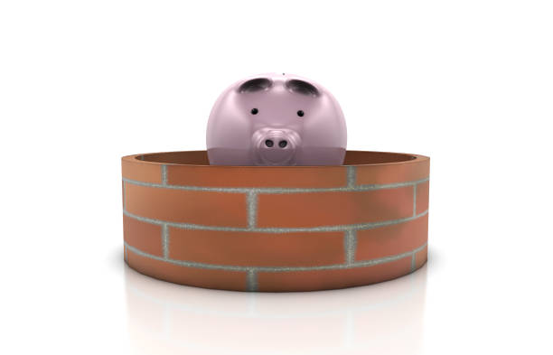 What are other requirements to cancel the PMI