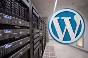 WordPress Websites