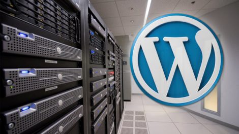 WordPress Websites