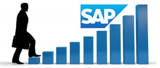 Job Titles in SAP FICO | Roles and Responsibilities