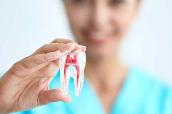how long do root canals take