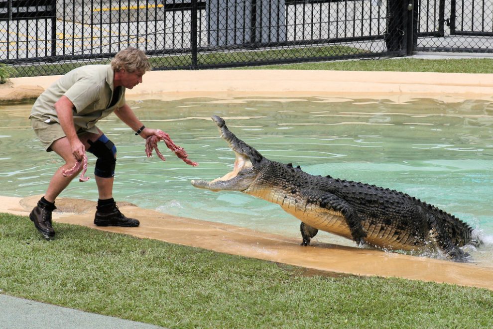 The 10 Most Disheartening Exotic Pets Attacks on Humans.