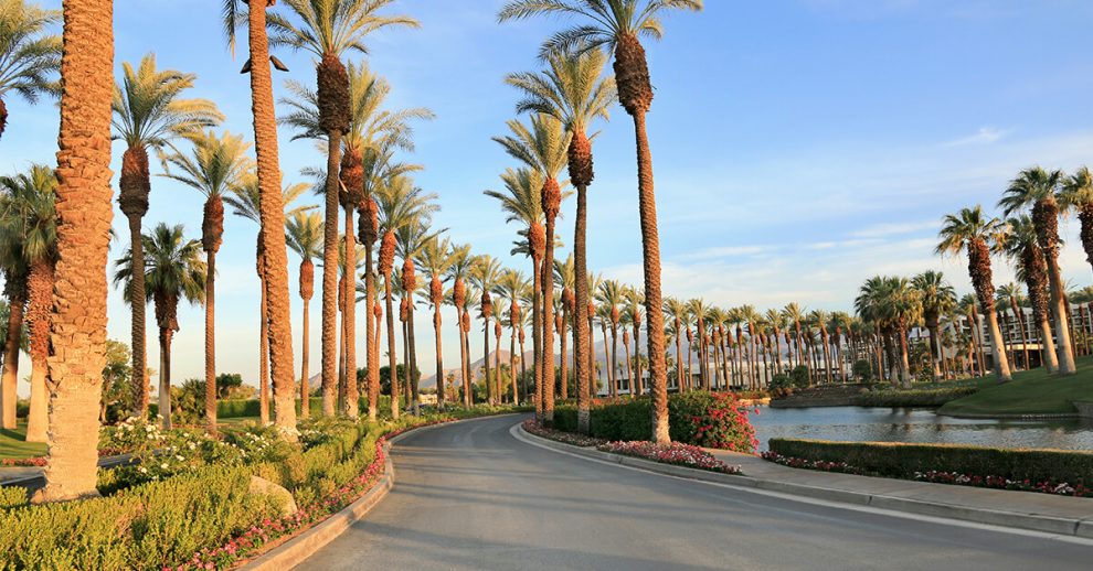 Beautiful Places to Explore in Palm Springs