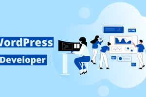 hire wordpress programmer
