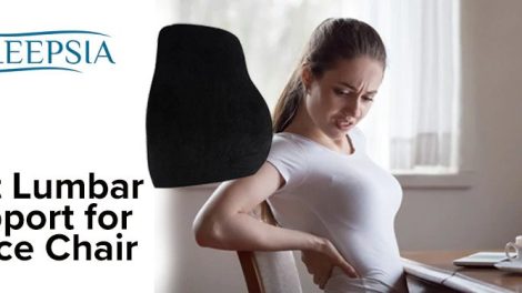 Lumbar Support