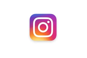 Picuki Instagram