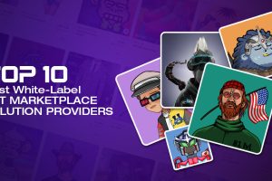 Top 10 Best White-label NFT Marketplace Solution providers