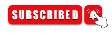 paid YouTube subscribers