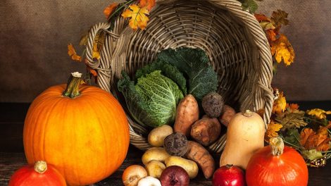 You Need to Know About Vitamin and Mineral Facts