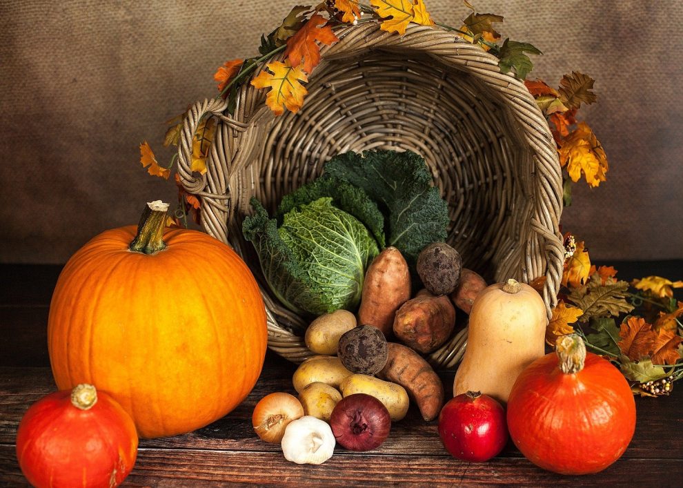 You Need to Know About Vitamin and Mineral Facts