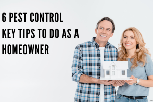 homeowner pest control tips