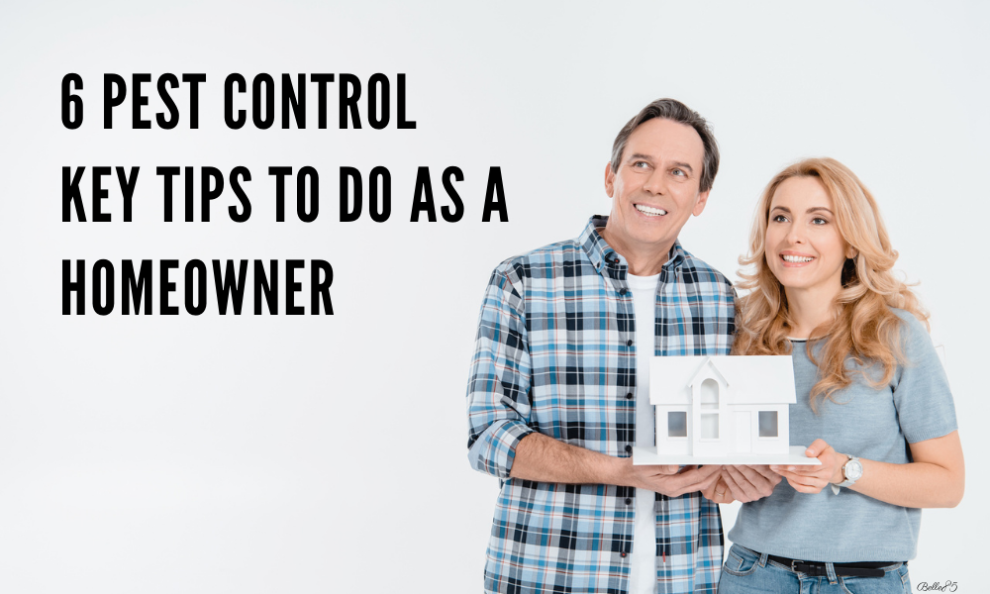 homeowner pest control tips