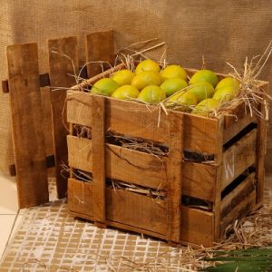 MANGO-BOX