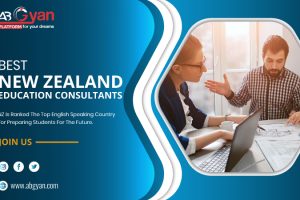 NZ education consultants