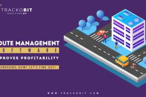 How Route Management Solutions From Fleet Management Software Improve Profitability