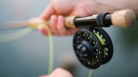 Spinning Reel for Bass