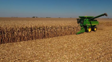 business insurance Coaldale