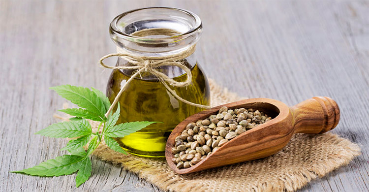 Hemp seed oil removes many skin problems, know its benefits and method of use