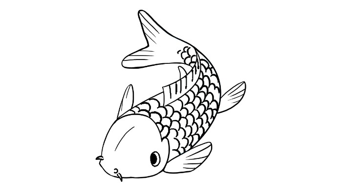 How to draw a koi fish
