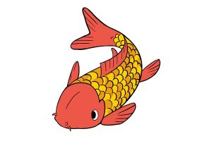 How to draw a koi fish