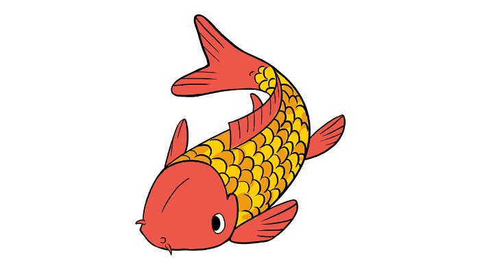 How to draw a koi fish
