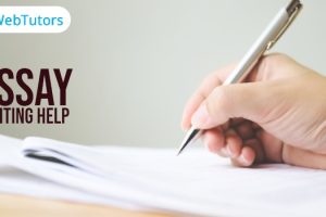 Essay Writing Help