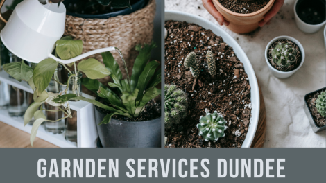 Gardening Services Dundee