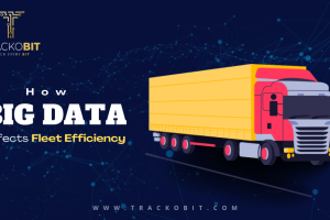 How Does Big Data Affect Fleet Efficiency
