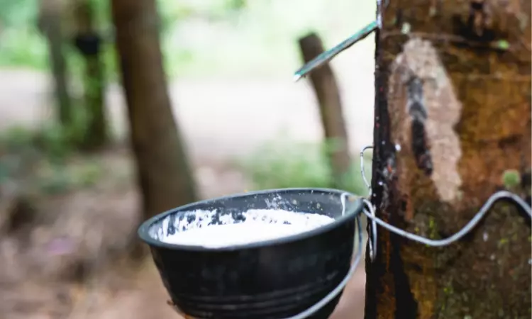 Natural Rubber Industry Report