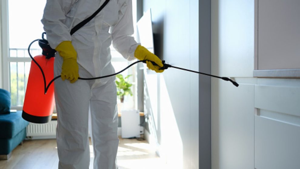 Pest Control In The Case Of Mosquitoes