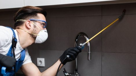 Pest Control Techniques